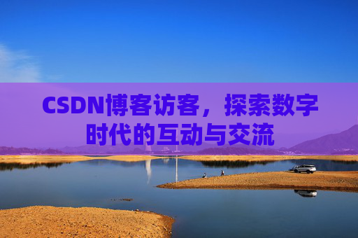 CSDN博客访客，探索数字时代的互动与交流